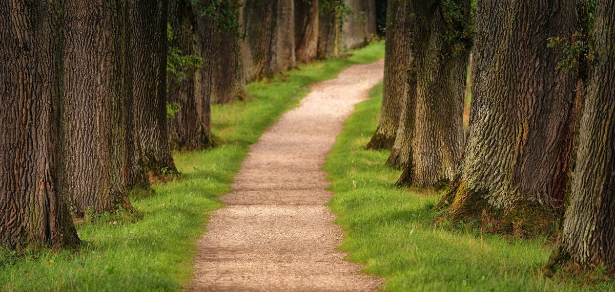 Mazes For Programmers part 6, paths through the mazes